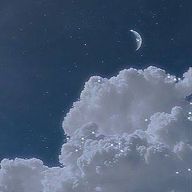 いちごたるとさんのアイコン画像