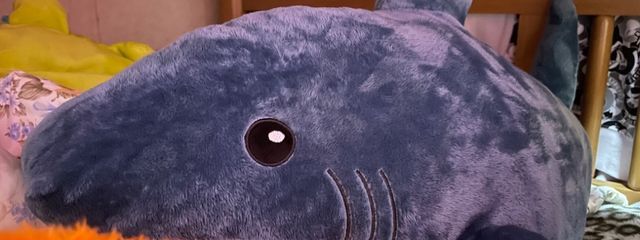 ネムさんの壁紙画像