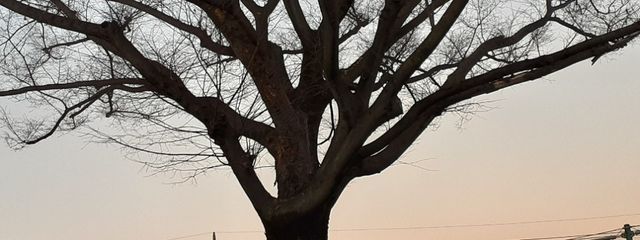 ほのさんの壁紙画像