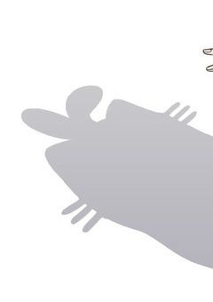 桃花ちゃんとお話