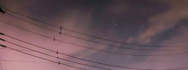 音猫໒꒱さんの壁紙画像