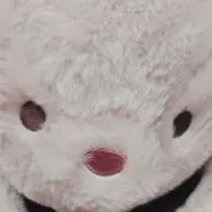 ぽてとちさんのアイコン画像