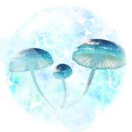 音々さんのアイコン画像