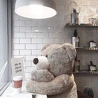 쿠마치 -低浮上-さんのアイコン画像