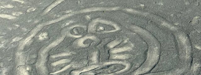 すずさんの壁紙画像