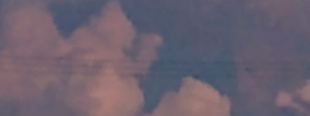 うにさんの壁紙画像