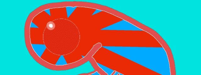 o-kana/おーかな【PBer生存圏盟主】さんの壁紙画像