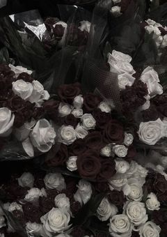 別世界を生きる君へ