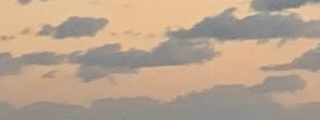 SARAさんの壁紙画像