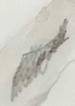 無名図書館