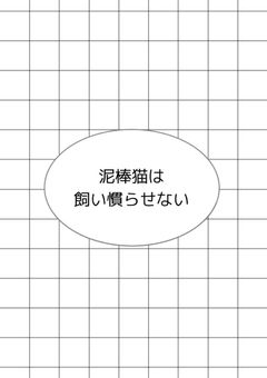 泥棒猫は飼い慣らせない