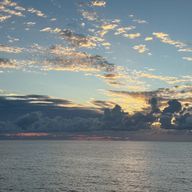 Yoriさんのアイコン画像