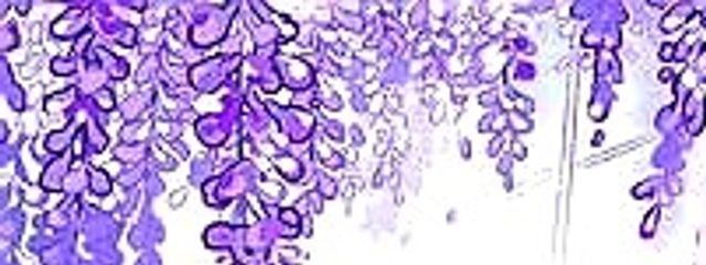 AKEBI⭐︎さんの壁紙画像