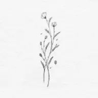 まるちなさんのアイコン画像