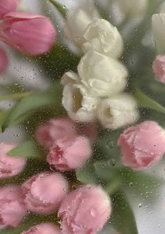 Asa *🐿️ちゃんとの雑談部屋💗