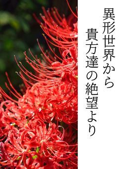 異形世界から貴方達の絶望より