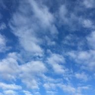 Sさんのアイコン画像
