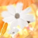 (なまえ)
