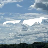 ペルシャさんのアイコン画像