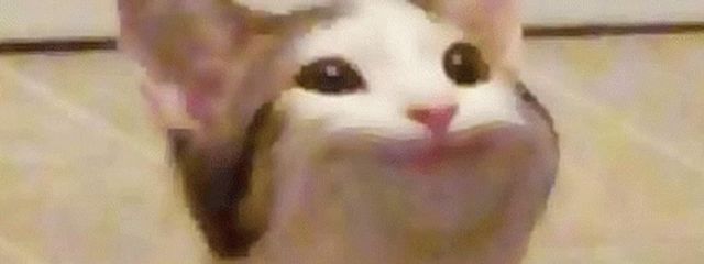 skz zb1さんの壁紙画像