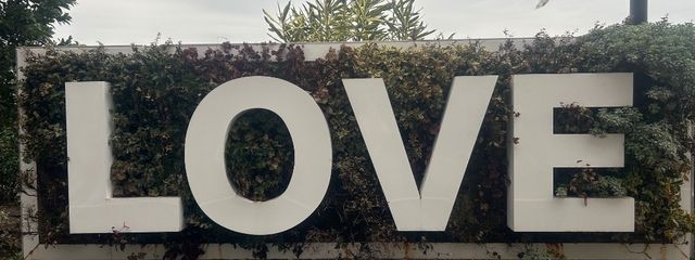 📷🍀💭みかちん🫧☁️❄さんの壁紙画像