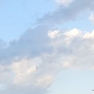 ぴょい🐇🍋🎠さんのアイコン画像