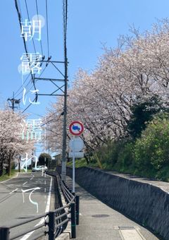 朝露に濡れて