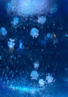 ごめんね。こんな俺で