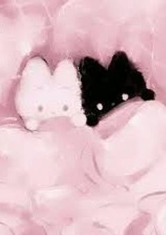 　#　🍀 Talk room 🍭 📖 🎩