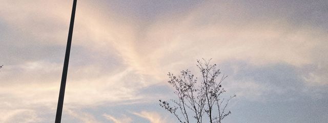 AsA❀⡱さんの壁紙画像