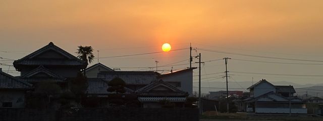 m1yuさんの壁紙画像