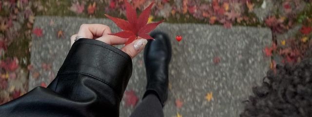 みにさんの壁紙画像