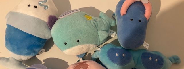 聖空のサブ　　活動休止中さんの壁紙画像
