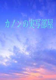実写部屋