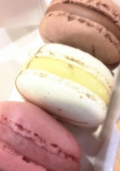 白 萩 殿 の 取 扱 説 明 書 