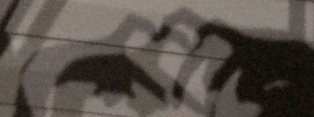 そこら辺の女の子さんの壁紙画像