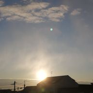 しぃかえさんのアイコン画像