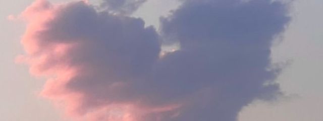 Uriさんの壁紙画像