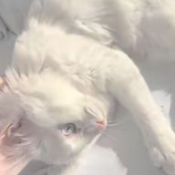 らな。𓂃 𓈒𓏸🤍‬さんのアイコン画像
