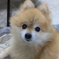 ほのかさんのアイコン画像