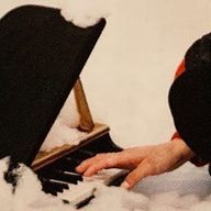 🦅さんのアイコン画像