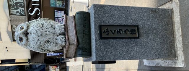 瀬奈さんの壁紙画像