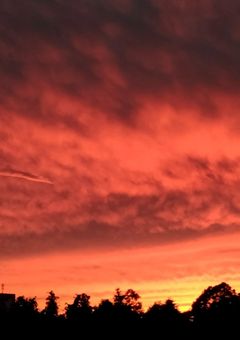 リバディーアチャーテードアゾンソルフート