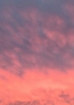 家の親が過保護すぎる件