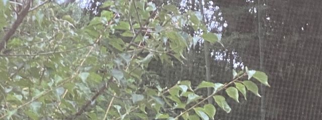 湊零さんの壁紙画像