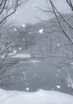 好きって言っちゃ…だめ、だよな…