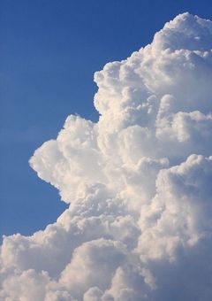 好きになんてなってないし！？