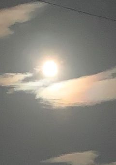 天使の羽が桜と舞い降りた時、ひとつぶの雫が落ちりゆく＿＿。