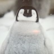 ペンペンジュニア☆さんのアイコン画像