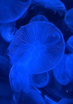 　今日 、 君に恋をしました 。 【　大阪編　】　